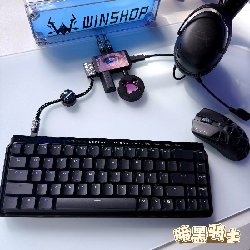 WINSHOP Esports HUB Dual-In 4- – Desk Setup Accessories Aesthetic Bewertung und Preis