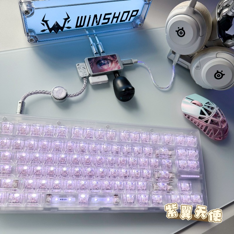 WINSHOP Esports HUB Dual-In 4- – Desk Setup Accessories Aesthetic Bewertung und Preis